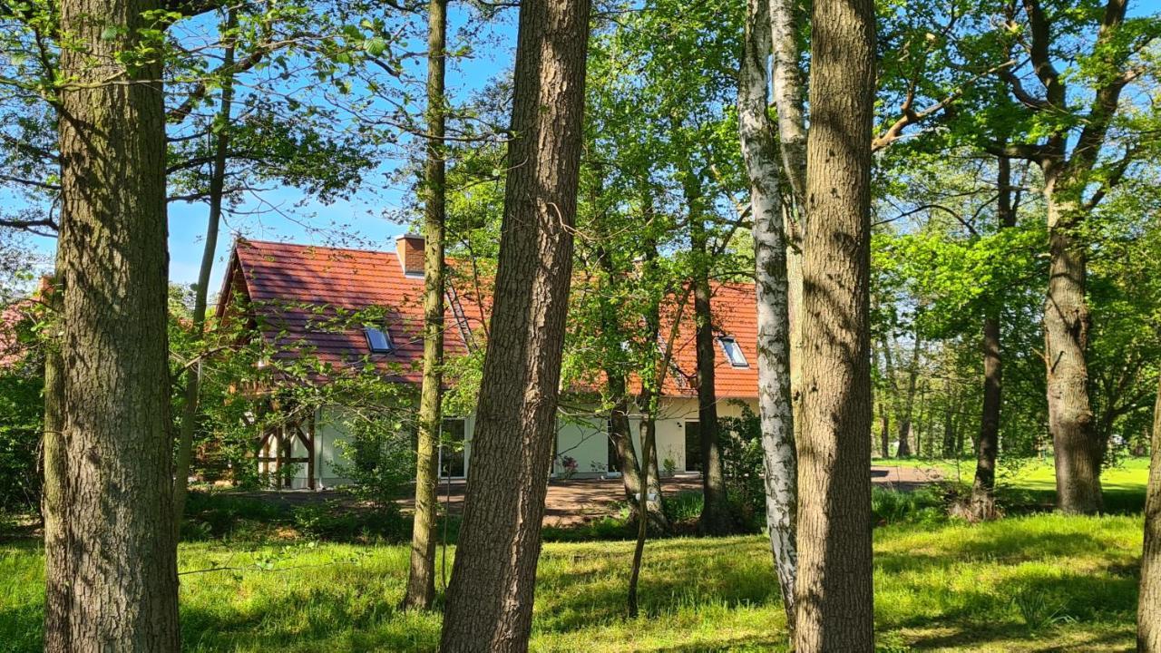 Vierseitenhof Appartements Burg  Exterior foto